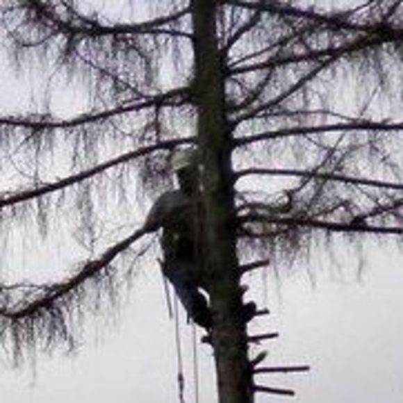 Meet your Posher, David - Picture 1 of 1